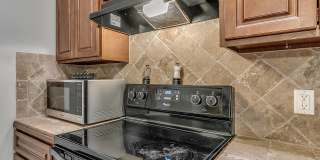 19704 Vivace Dr Gallery 16
