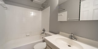 Tarpis Woods Gallery 5