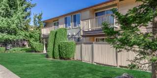 Carrington Gallery 25