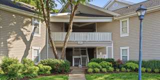 14316 CLIMBING ROSE Way Gallery 1