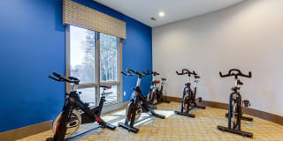 The Metro Gallery 25