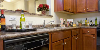 Hamilton Green Gallery 7