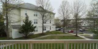 22641 BLUE ELDER Terrace unit: 204 Gallery 19