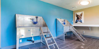 The Grove Gallery 25