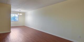 545 E 7th Avenue Gallery 2