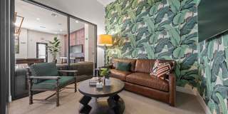 Solara Vista Gallery 30