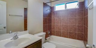 829 Noatak Trail, Pflugerville, TX 78660 Gallery 16
