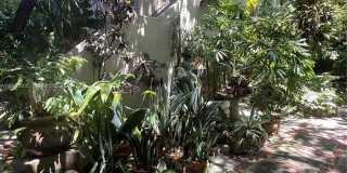 814 Michigan Ave Gallery 1