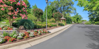 Honeywood Apartment Homes Gallery 16