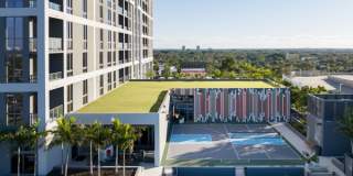 Cascade Link at Douglas Gallery 20