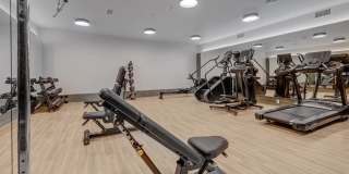 Journeyman Gallery 24
