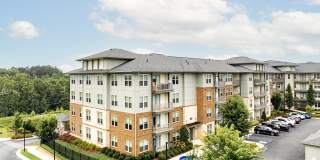 The Kingson Gallery 5