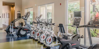 Lakewood Flats Gallery 26