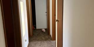 3 Florentine Ct Gallery 10