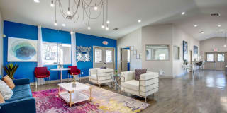 Vida Gallery 10