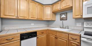 Beautiful Denver Condo Gallery 3