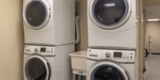 Shelton Apartments Gallery 32