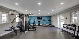 Tierra Palms Gallery 37