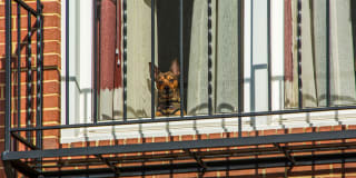 Aquahart Manor Apartments Gallery 11