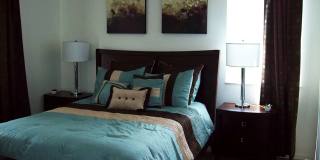 Cypress Trace Gallery 1