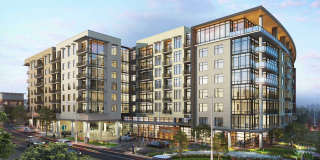 Encore Lakeside Gallery 14
