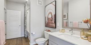 Ascend Reunion Crossing Gallery 51