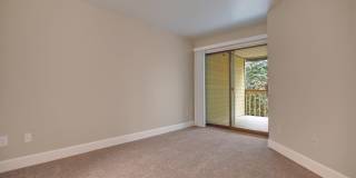 Foster Greens Gallery 17