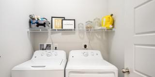 Provenance at Polaris Gallery 19