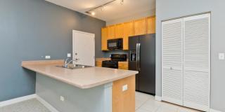 1515 S Halsted St Unit 214, Chicago, IL 60607 Gallery 7