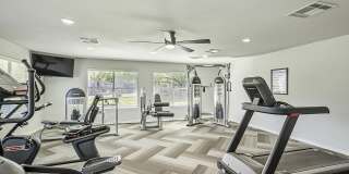 Rise Hillcrest Gallery 66