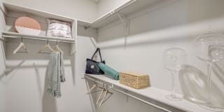 Springs at Eastmark Gallery 25