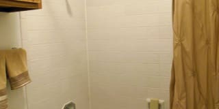 Walden Pond Gallery 10