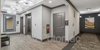 3503 Bellflower Lane Gallery 12