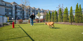 Traders Row Gallery 24