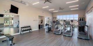 Springs at the Reserve Gallery 66