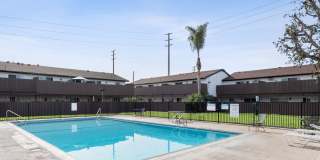 Newland Garden Gallery 18