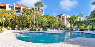 955 Dotterel Road Gallery 47