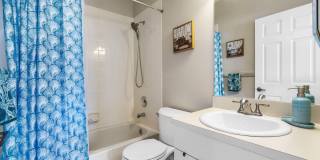 4180 Manor Forest Trail Gallery 29