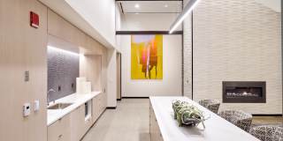 VYV Gallery 50
