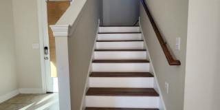 18145 River Birch Drive Gallery 12