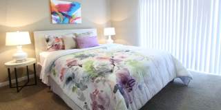 Briarwood Gallery 13