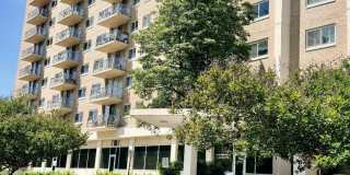 1225 MARTHA CUSTIS Drive Gallery 1