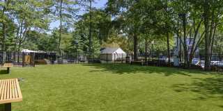 Bent Tree Gallery 21