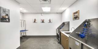 Haven at the Gulch Gallery 23