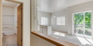 Chelsey Lane Gallery 4