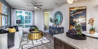 Rize Irvine Apartments Gallery 2