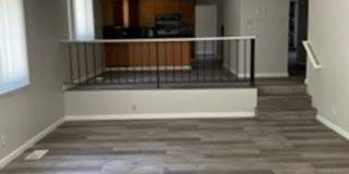 -Spacious 4 Bed 2.5 Bath, House, with Hew Hardwood Floors throughout - Gallery 7