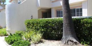 24341 CONEJO Gallery 3