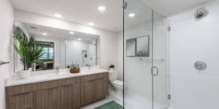 Mosaic Palms Gallery 20