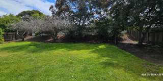 Orcutt Single Story Recently Updated Home with Large Yard Gallery 44